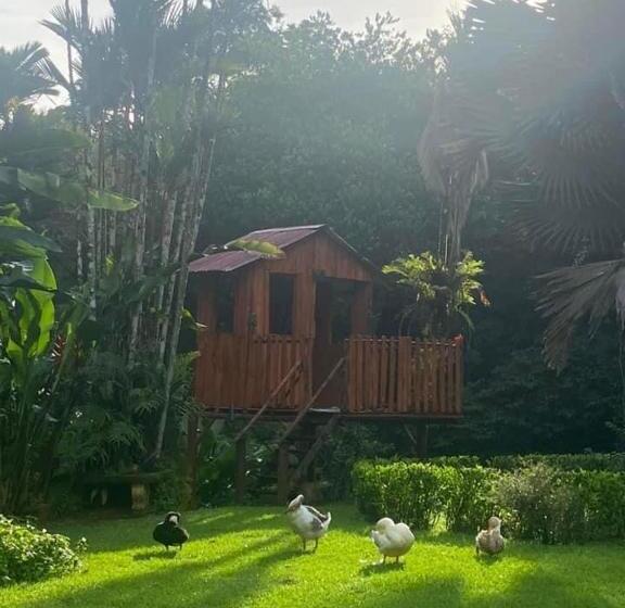 فندق La Purruja Lodge