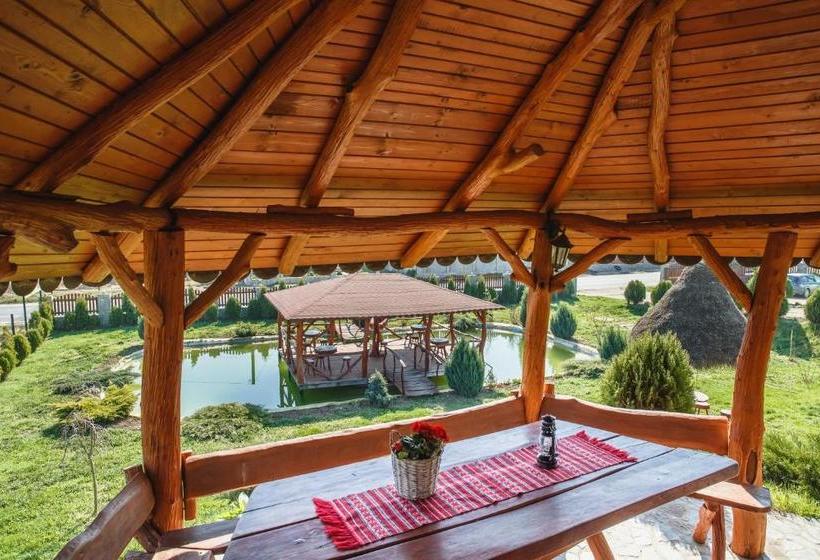 فندق Pensiunea Faur