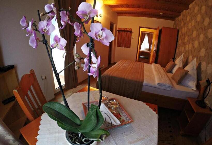 فندق Pensiunea Faur