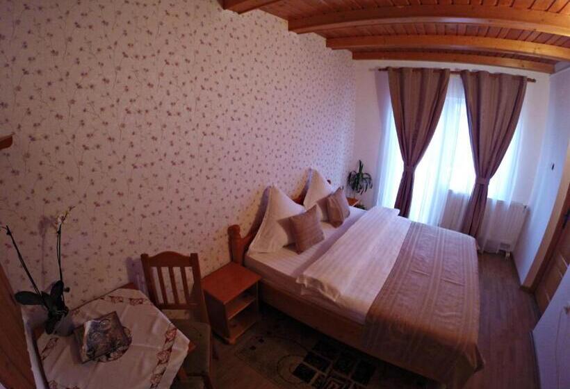 فندق Pensiunea Faur