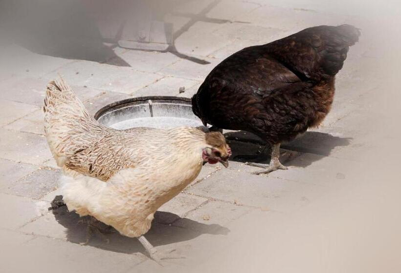 בית מלון כפרי Raderhof