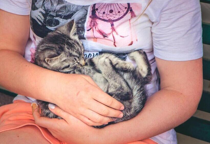 בית מלון כפרי Raderhof