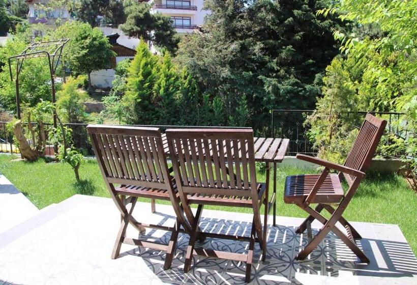 Büyükada Apart Hotel   Karadağ Apart