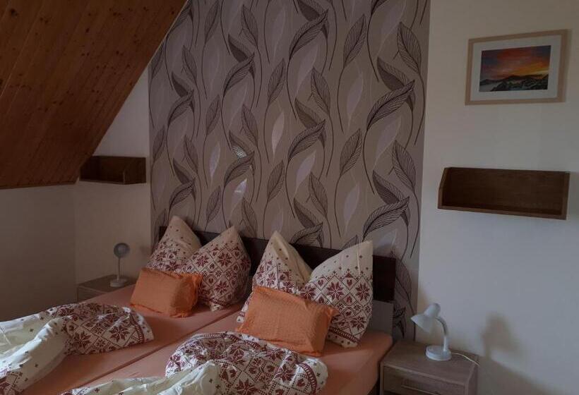 Пансион A1 štart