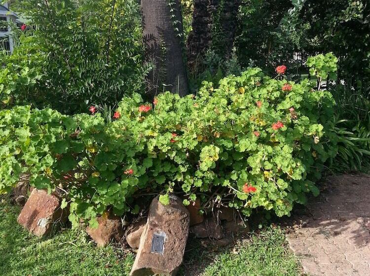 펜션 Boer And Brit Self Catering Guest House