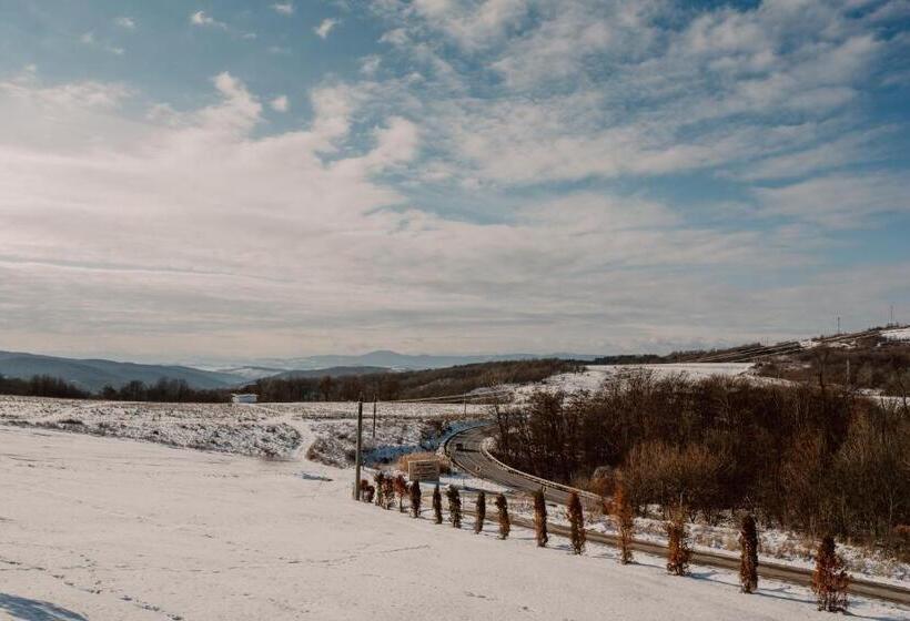 ペンション Boutique Hotel Cattaleya