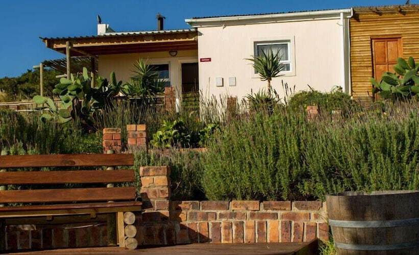 膳宿费 Capelands Wine Farm