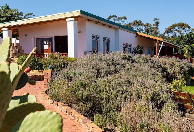 펜션 Capelands Wine Farm