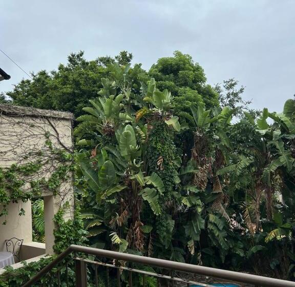 膳宿费 Fernivy Guest House