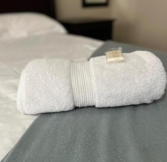 膳宿费 Fernivy Guest House