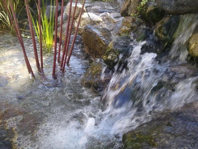 Пансион Haus Am Hammerrain