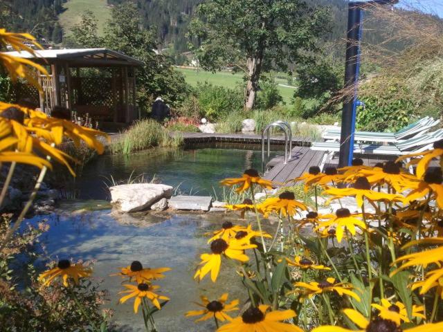 Пансион Haus Am Hammerrain