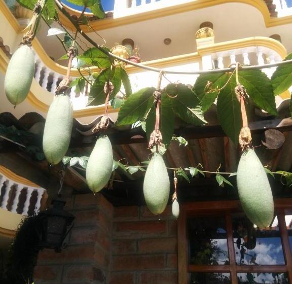 ペンション Hostal Curiñan