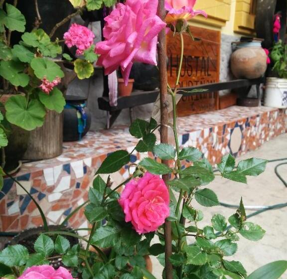 ペンション Hostal Curiñan