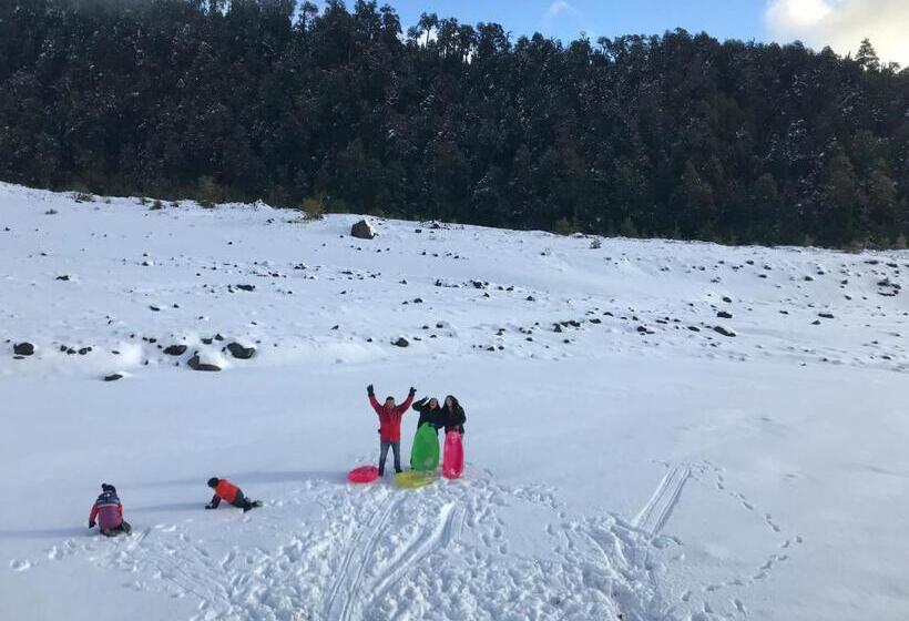 بنسيون Hostal Graciela