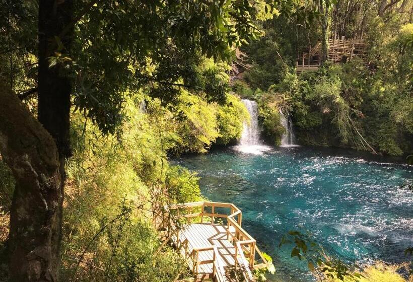 بنسيون Hostal Graciela