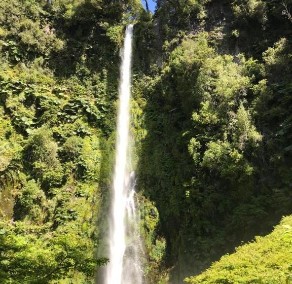 بنسيون Hostal Graciela