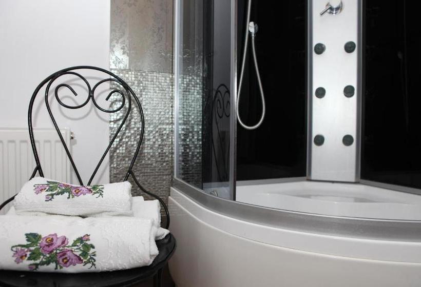 膳宿费 Il Piccolo Castello Busteni