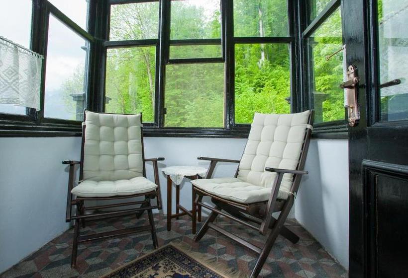 膳宿费 Il Piccolo Castello Busteni