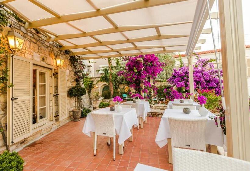 פנסיון Ipekyol