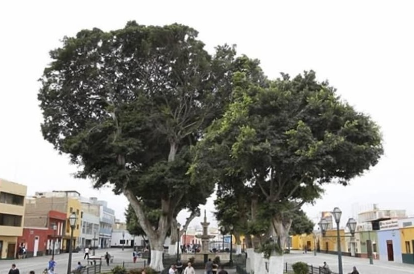 Пансион Las Mercedes