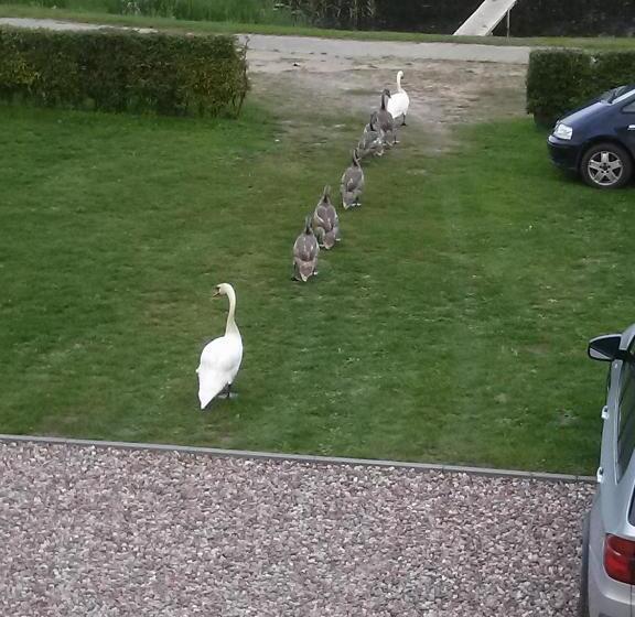 پانسیون Svečių Namai ,, Opes Vyngis