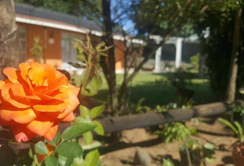 بنسيون Rose Of Sharon