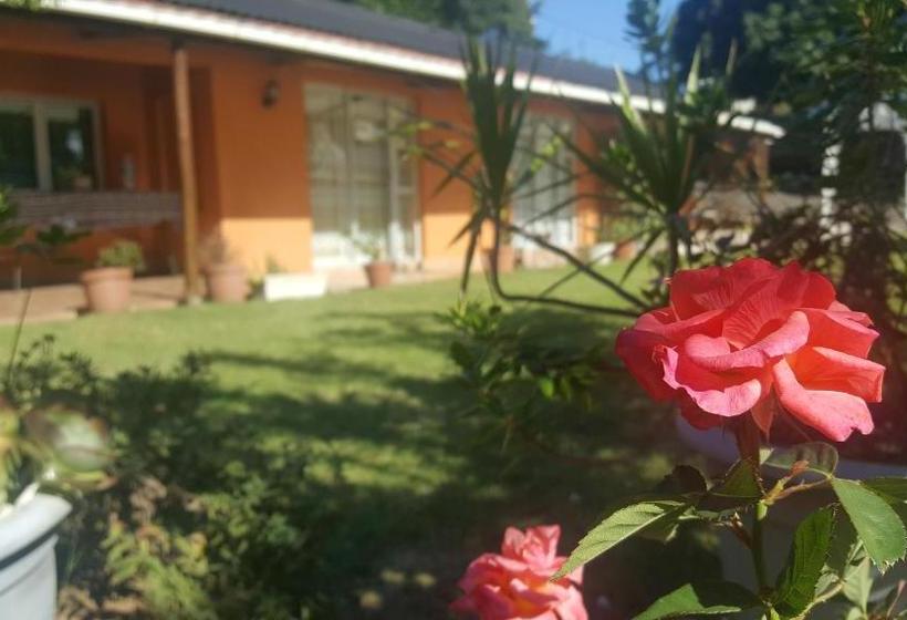 بنسيون Rose Of Sharon