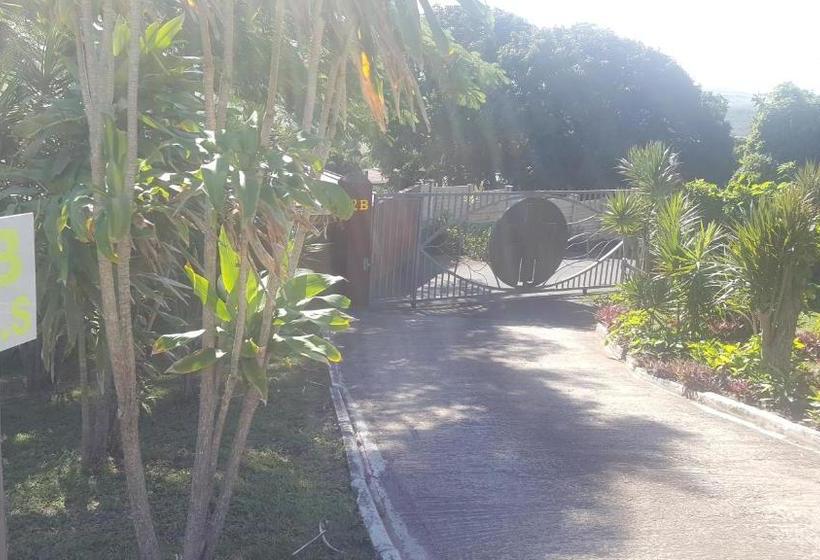 بنسيون Rose Of Sharon