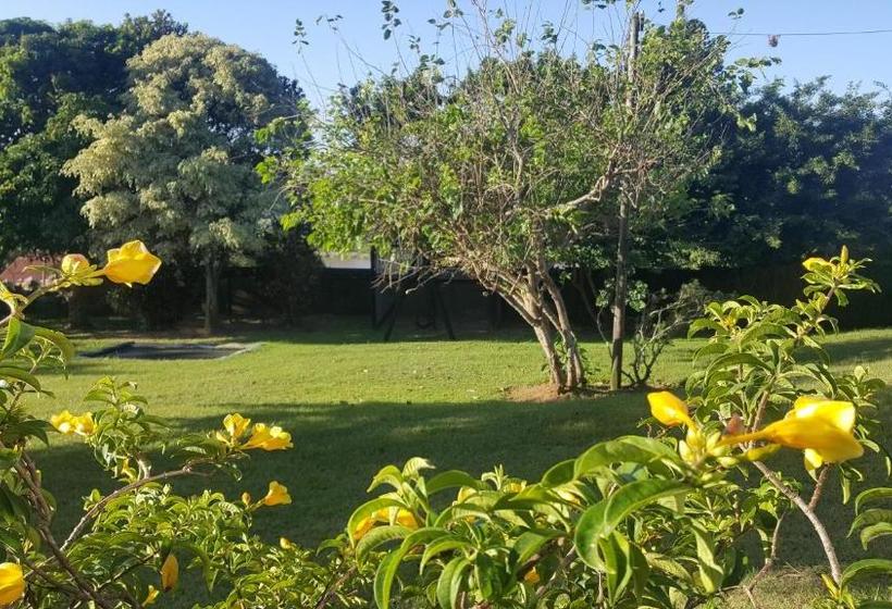 بنسيون Rose Of Sharon