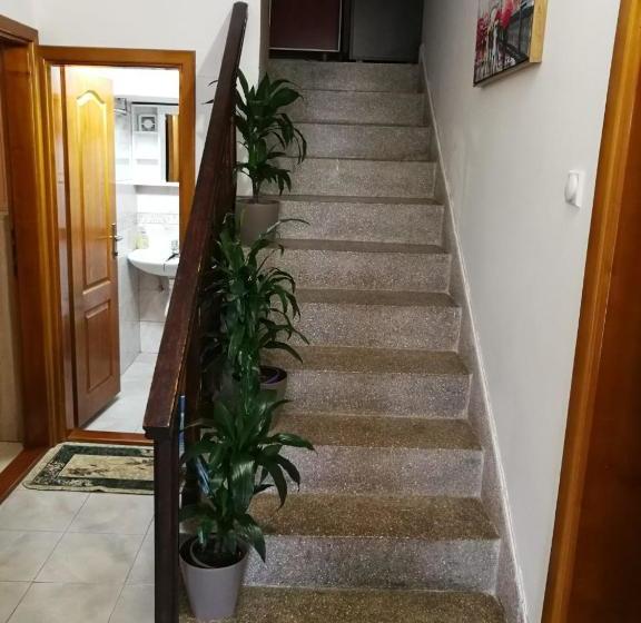 پانسیون Sobe Nedović