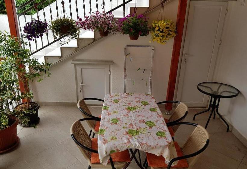 پانسیون Sobe Nedović