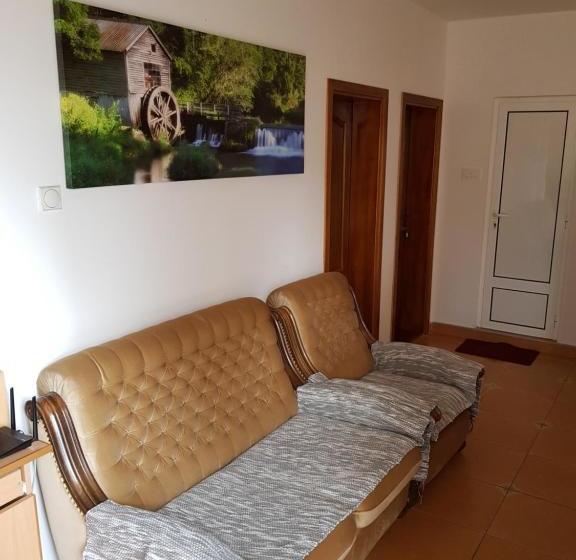 پانسیون Sobe Nedović