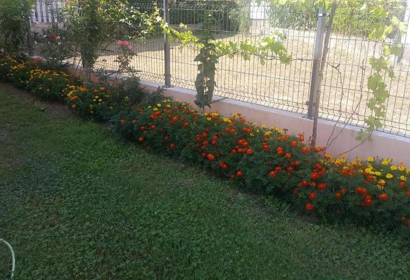 پانسیون Sobe Nedović