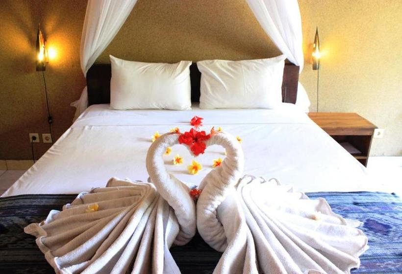 פנסיון Sudi Guest House