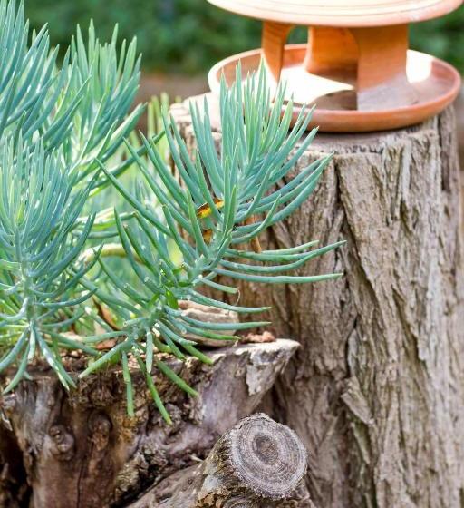 膳宿费 @the Villa Guest House