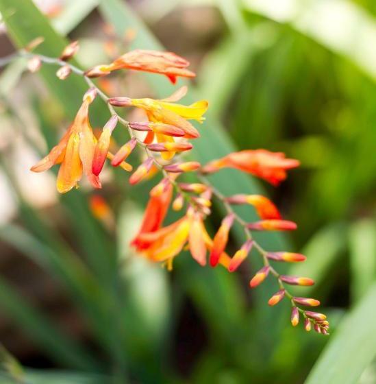 膳宿费 @the Villa Guest House