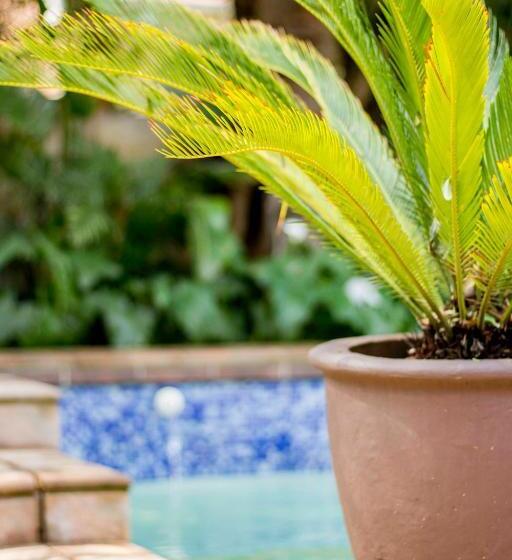 膳宿费 @the Villa Guest House