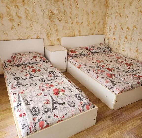 پانسیون Vizitori