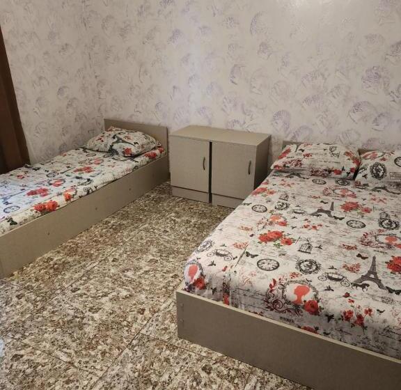 پانسیون Vizitori