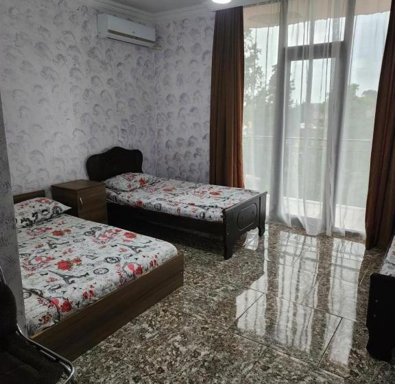 پانسیون Vizitori