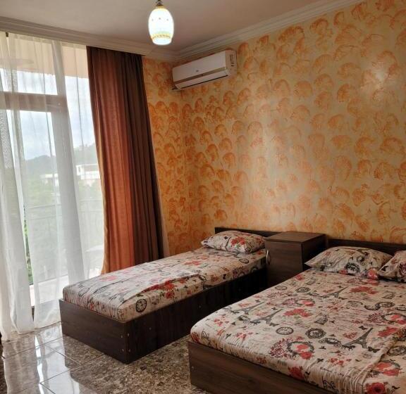 پانسیون Vizitori