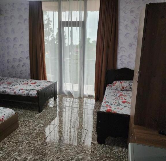 پانسیون Vizitori