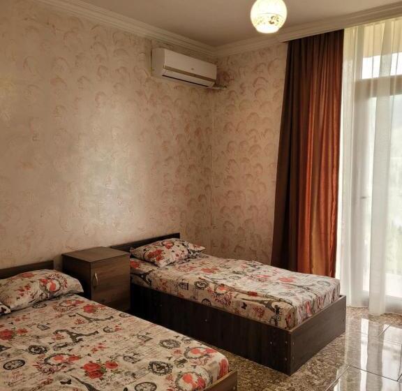 پانسیون Vizitori