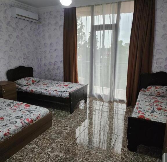 پانسیون Vizitori