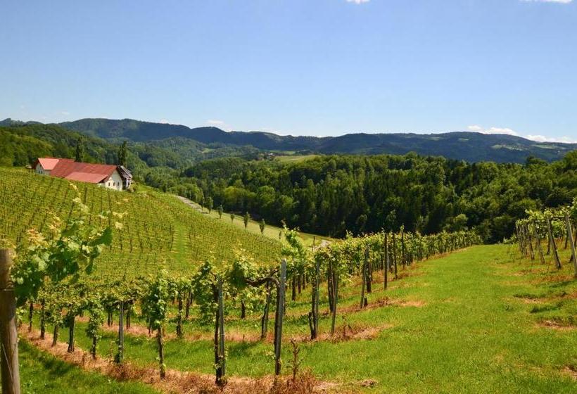 ペンション Weingut Zirngast