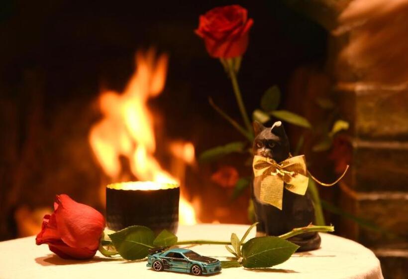 Пансион Zen Box House