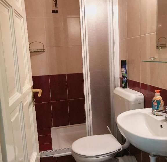 膳宿费 Zsuzsi Vendégház