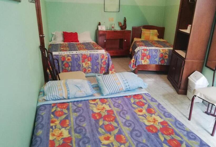 فندق صغير Figueroa