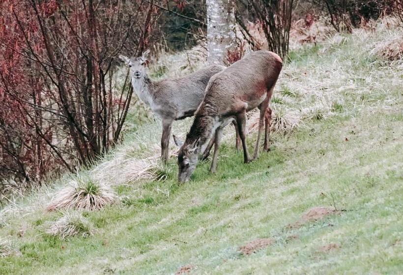 فندق صغير Pension Gasthof Arriach